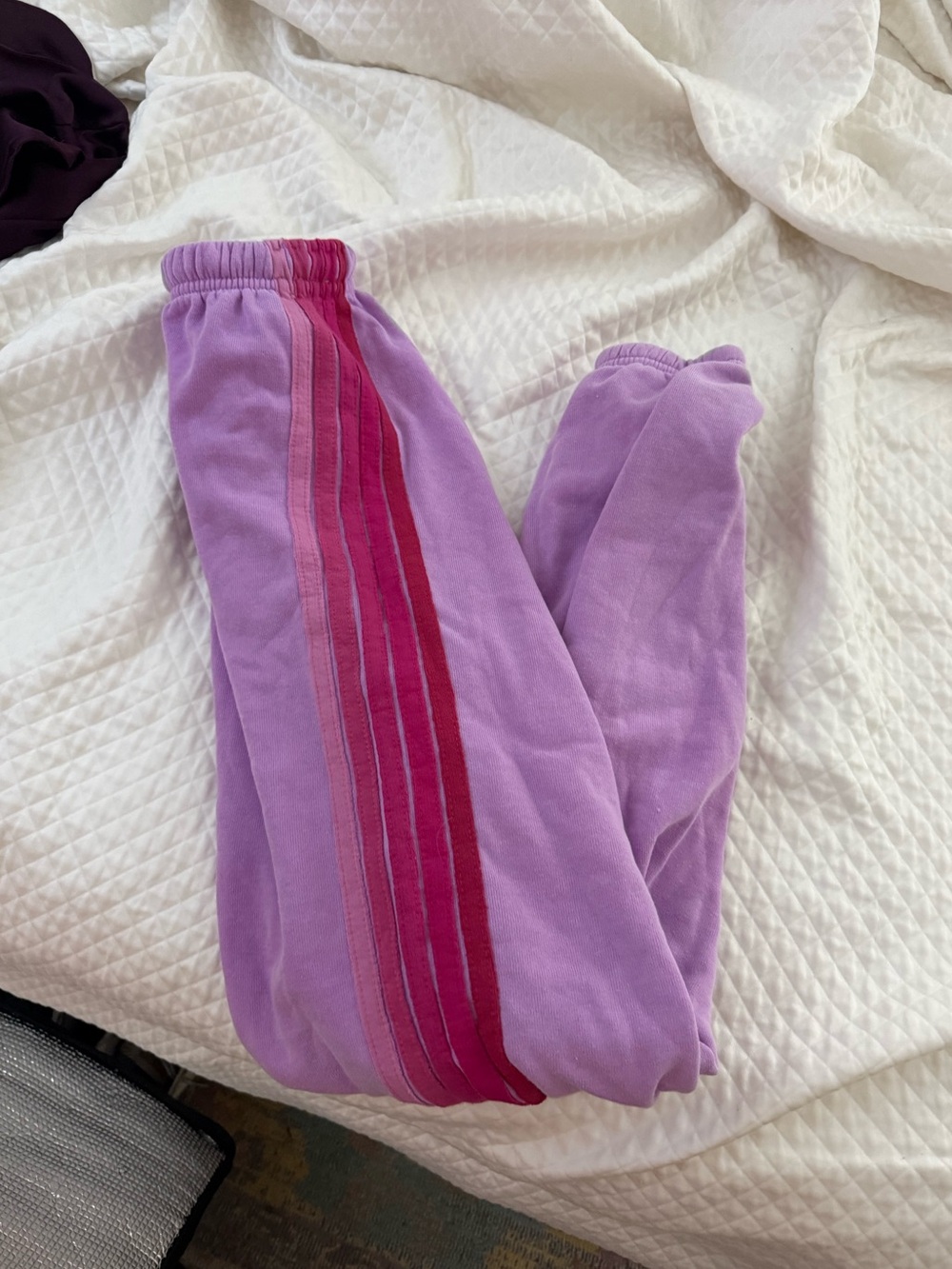 aviator nation sweatpants